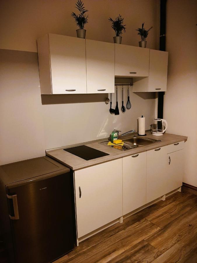 Apartma Vila Tara Prebold Buitenkant foto